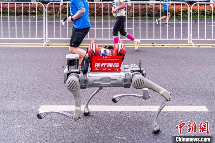 嘉兴春日迎来第20届亚洲马拉松锦标赛：男女冠军